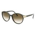 Chloe Women's Fashion Sunglasses