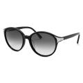 Chloe Women's Fashion Sunglasses