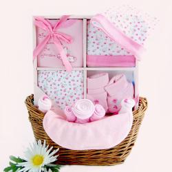 Sweet Baby Girl Gift Basket