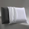 Beautyrest Charcoal Odor Control Memory Foam Pillow