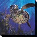 Stephen Fishwick 'Kemps Ridley' Giclee Art