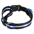Blue 6-LED Flashing Light Pet Dog Collar