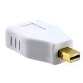 Mini DisplayPort to DisplayPort M/ F Adapter