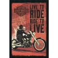 Harley Davidson 'Live to Ride' Gel-textured Art Print