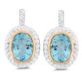 Meredith Leigh Sterling Silver and 14k Gold Blue/ White Topaz Earrings