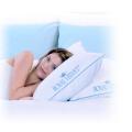 Famous Brand Legacy Feather and Down Pillow