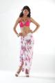 Batik Fuchsia Tropical Coral Sarong (Indonesia)