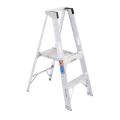 Platform Ladder