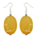 Zebra Jasper Earrings (Thailand)