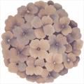 Hand-tufted Pink Bloom Rug (6' x 6')