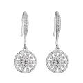 Sterling Silver Clear Cubic Zirconia Round Drop Earrings