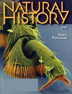 Natural History, 10 issues for 1 year(s)
