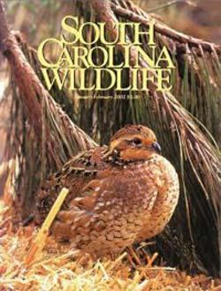 South Carolina Wildlife, 6 issues for 1 year(s)