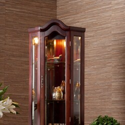 McCoy Mahogany Lighted Display Cabinet