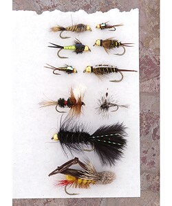 The Guides Box 72-piece Fly Selection