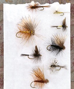 The Absolute Dry 72-piece Fly Selection