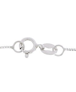 14k White Gold 16-inch Box Chain (0.5 mm)