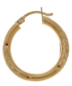 14k Yellow Gold Satin Hoop Earrings