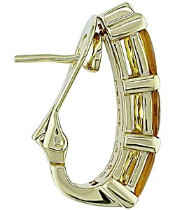 18k Yellow Gold Citrine 1/5ct TDW Diamond Earrings