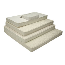 Adjust-A-Coil Plush 1-inch Foam Top Full Mattress