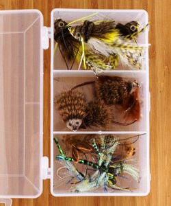 Maximum Bass Selection Fly Fishing Flies