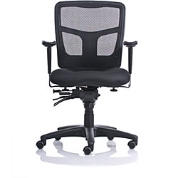 Ergo Mesh Back Task Chair