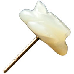 10k Yellow Gold Mother of Pearl Flower Stud Earrings