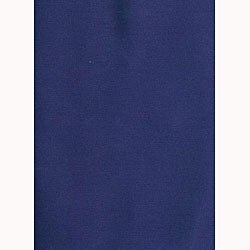 All-weather Outdoor Chaise Lounge Cushion Sky Blue