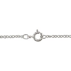 10k White Gold 1ct TDW Black Diamond Heart Necklace