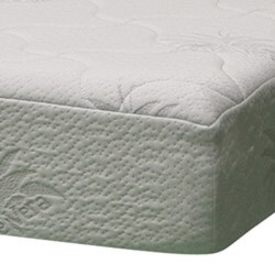 Spinal Response Aloe 8-inch Queen-size Smooth Top Memory Foam Mattress