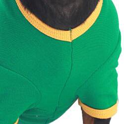 American Apparel Green/Gold Baby Rib Dog Tee