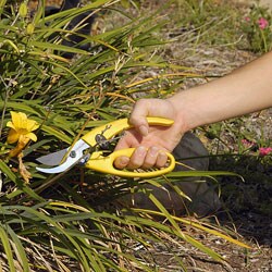 Professional 3-piece Pruning Kit