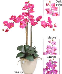 Triple-stem Phalaenopsis Silk Orchid Plant