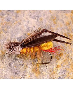 All Around 36-piece Dry Flys Fly Fishing Selection