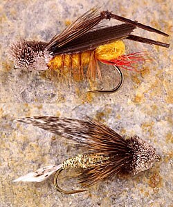 Dry and Nymph Flies Fly Fishing Set