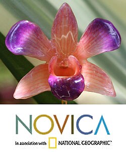 Goldplated Natural Orchid 'Glorious Dawn' Stickpin (Thailand)