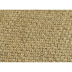 Hand-woven Casual Natural/ Brown Seagrass Rug (4' x 6')