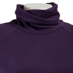 FINAL SALE Ellen Tracy Women's Petite Turtleneck Dress