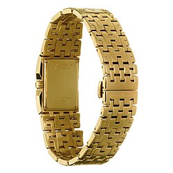 Wittnauer Men's Beckett Goldplated Steel Watch