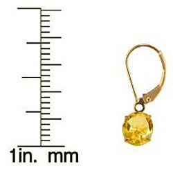 10k Yellow Gold Round Ctirine Leverback Earrings