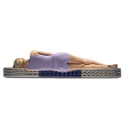 Spring Air Meadow Pillow Top Value Back Supporter King-size Mattress Set