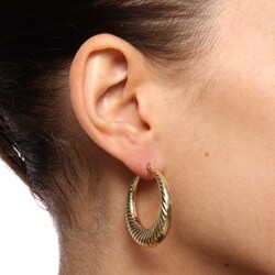 18k Gold over Stainless Steel Circle Hoop Earrings