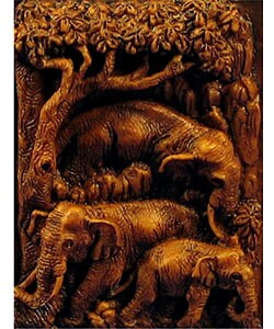 Banana Bark Photo Album