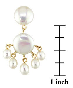 14k Yellow Gold Coin Cultured Freshwater Pearl