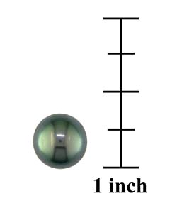 14k Yellow Gold Tahitian Pearl Stud Earrings (8-9mm)