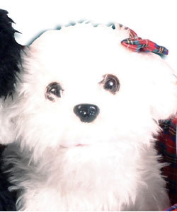 Singing Plush Christmas Dogs