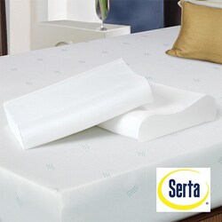 Set of 2 Serta Memory Foam Contour Pillows $19.99