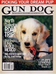 Gun Dog