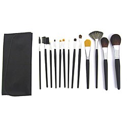Master Makeup 13-piece Brush Set