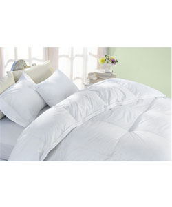 Oversized Egyptian 325 Thread Count Down Comforter